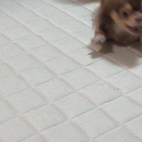 暑いけど元気(^_^*)の画像