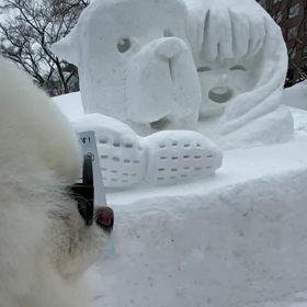 2023/02/05の画像