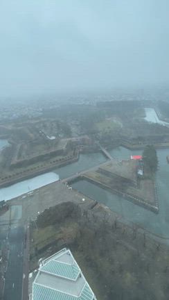 旅行　函館の記事動画