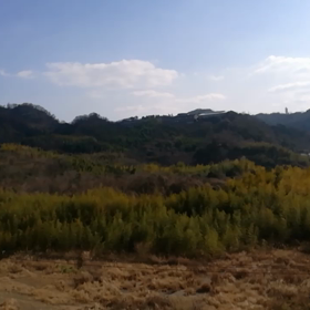 風の音の画像