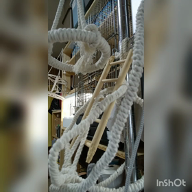 ぐりの甘え鳴きの画像