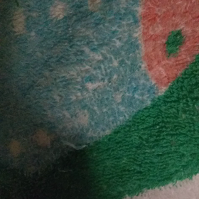 フォフォッの画像