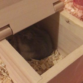 day 32の画像