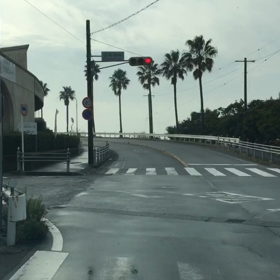 宮崎海岸の画像
