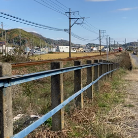 白帯三河湾の画像