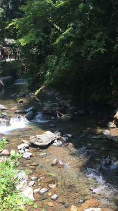貴船。川床。天国でした。のあそびーず夏の遠足で京都・貴船へ(´∀｀=)の記事動画
