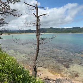 「京丹後ひとつぼビーチ」　八丁浜〜水晶浜〜琴引浜への遊歩道の画像