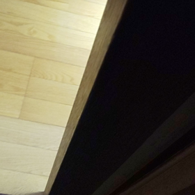 威嚇のポーズの画像