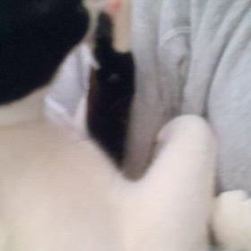 ついさっきの画像