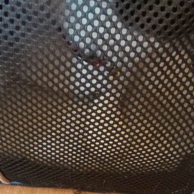 小判  病院へ行くの画像