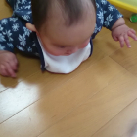 ８ヶ月の画像