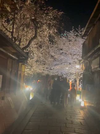 2026/04/07の記事動画