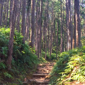 和歌山日記  〜熊野古道  篇②〜の画像