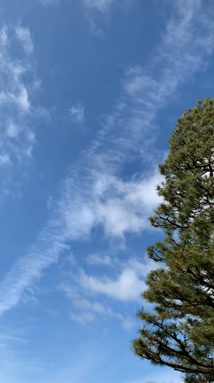 水と空の龍に会いました♪の記事動画