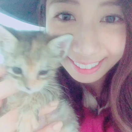 仔猫ちゃん♡♡♡の記事動画