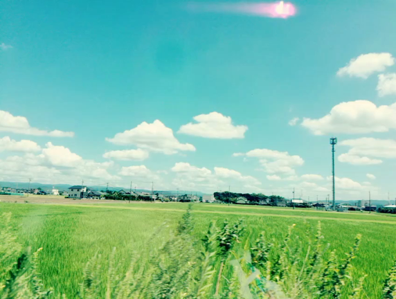 癒し〜♡の記事動画
