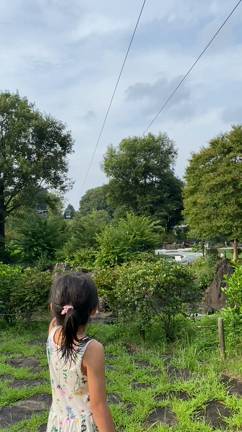 人生を豊かにするためにの記事動画