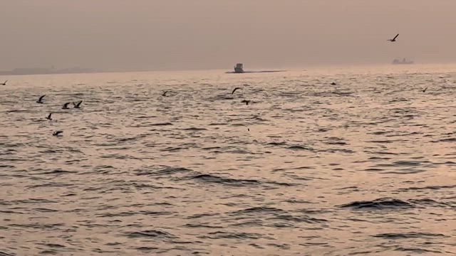 ４月４日出船時間です。の記事動画