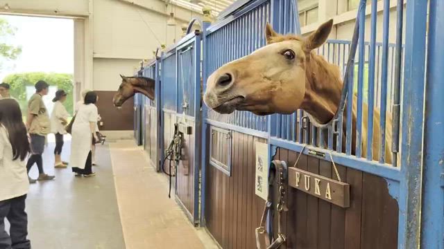 謎の『むーーーん』←答えは動画の中にRの記事動画