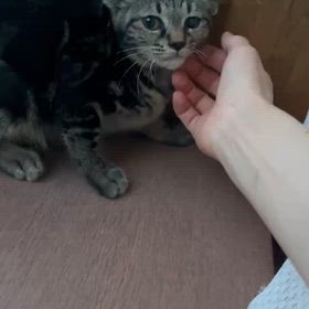 決まったよ～たぶん、、、の画像
