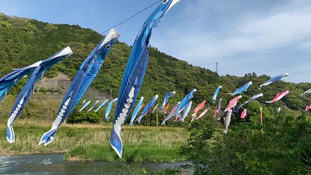 はだしマラソンの記事動画