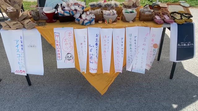 沖縄グルメフェスの記事動画