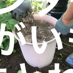 さて。。何個とれるかな？の画像