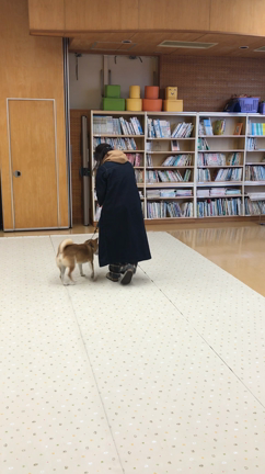 ふれあい活動犬認定試験に行ってきました。の記事動画