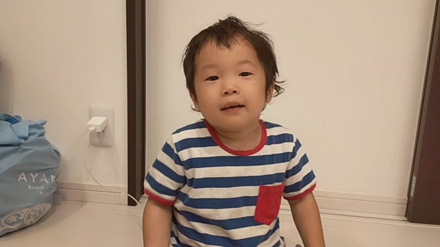 自閉症と定型発達　会話や言葉の増え方の違いの記事動画