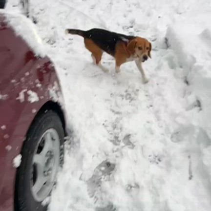 従兄弟集合したんよ(*^^*)の記事動画