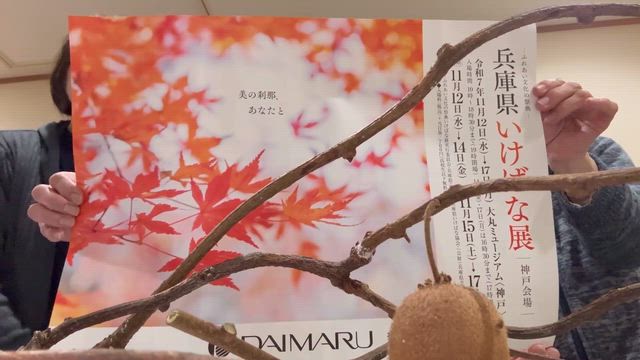 兵庫県いけばな展の記事動画