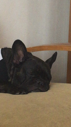 この素晴らしさをお友達にも伝えていきますの記事動画