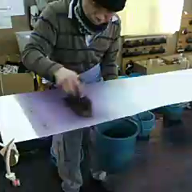 引き染め職人の画像