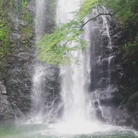 本日も箕面15kmラン 大雨後の画像