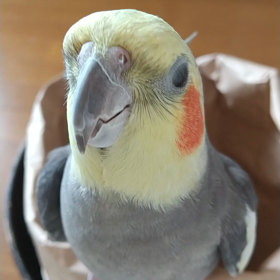 最近なんだか、テキトーな の笑の画像