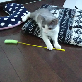 あまりにも暑くの画像