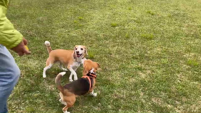 GW最終日の記事動画