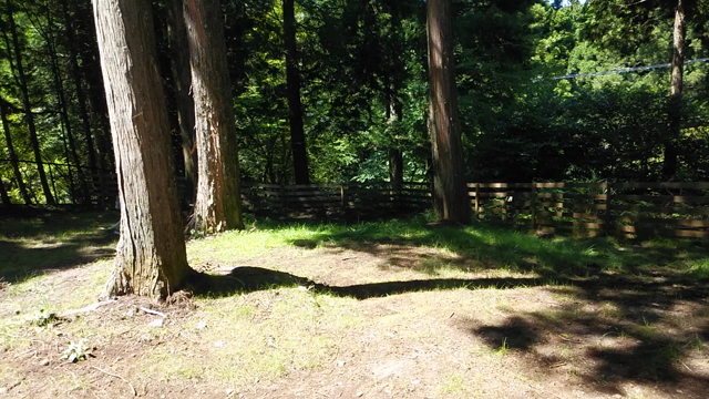 夏休み！の記事動画