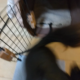 ご飯を食べるあまなつの画像