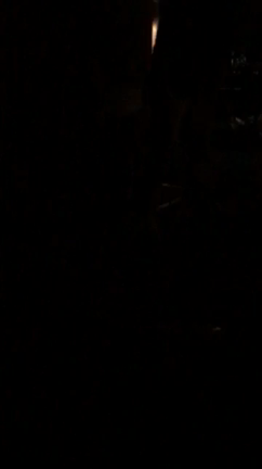 にし君の！の記事動画