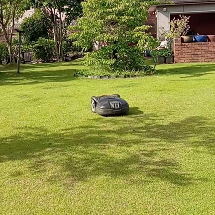 野生児こひめちゃんの記事動画