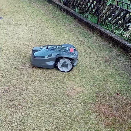 野生児こひめちゃんの記事動画
