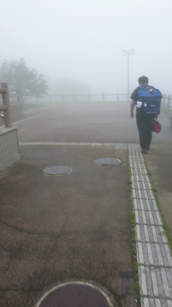 雨が止んだからの記事動画