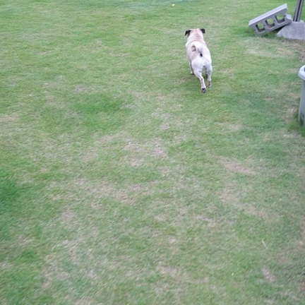 今日のこひめちゃんの記事動画