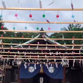 神様からの歓迎のサインおみくじはお導きの画像