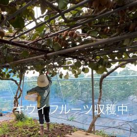2024/11/16の画像