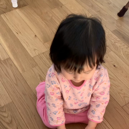 めんちょうの記事動画