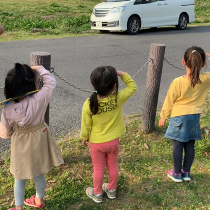 お花見の記事動画