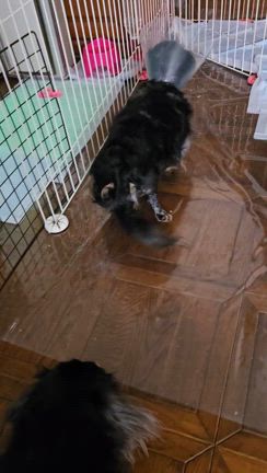 退院しましたの記事動画