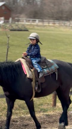 何度も行きたい、何度もおすすめしたいの記事動画